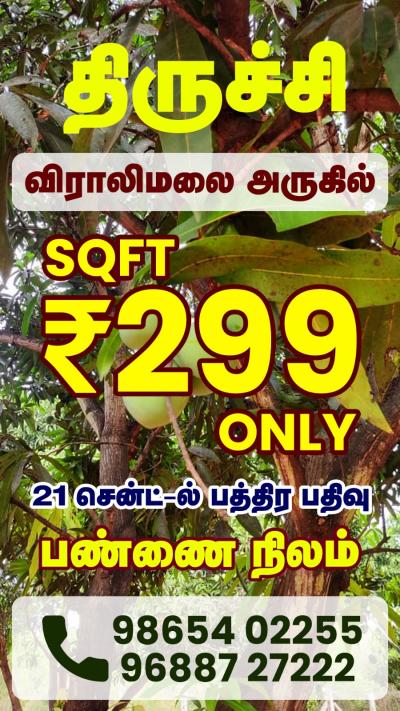 மாமரத்தோட்டம் ஒரு சதுர அடி வெறும் ₹299 மட்டுமே